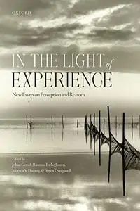 In the Light of Experience: New Essays on Perception and Reasons (Mind Association Occasional Series)