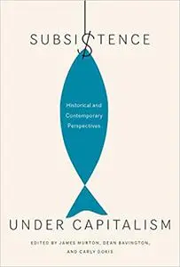 Subsistence under Capitalism: Historical and Contemporary Perspectives (Volume 4)