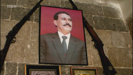 BBC - Storyville: The Reluctant Revolutionary (2012)