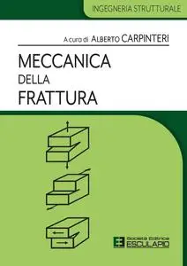 Alberto Carpinteri - Meccanica della frattura