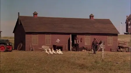 Days of Heaven (1978)