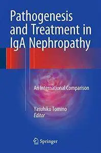 Pathogenesis and Treatment in IgA Nephropathy: An International Comparison