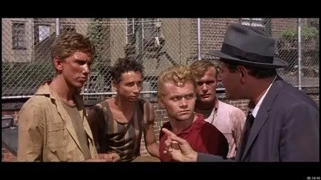 West Side Story [DVD9 + DVD5] (1961) Special Edition