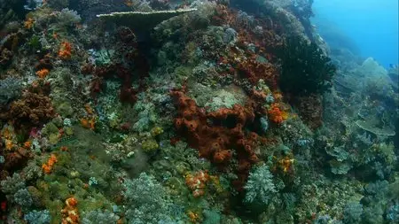 Secrets of our Living Planet (2012)