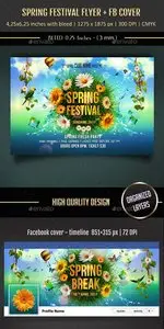 GraphicRiver - Spring Festival Flyer