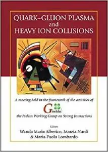 Quark-Gluon Plasma and Heavy Ion Collisions  [Repost]