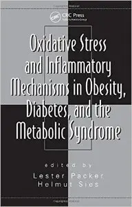 Oxidative Stress and Inflammatory Mechanisms in Obesity, Diabetes, and the Metabolic Syndrome