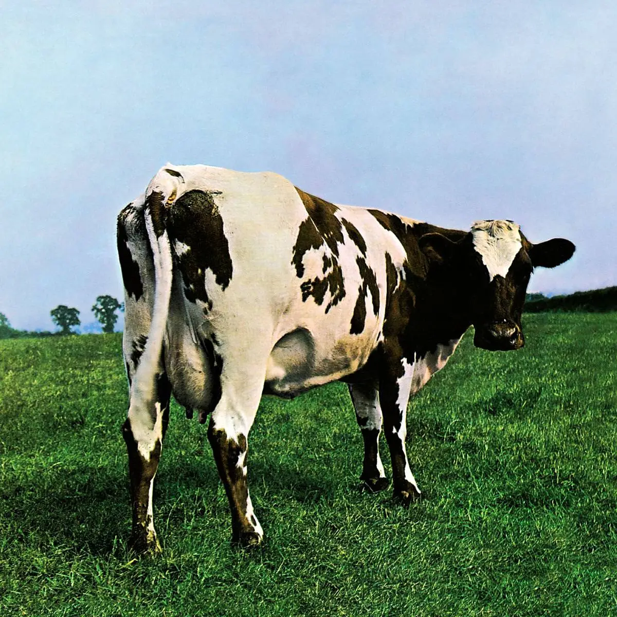 pink floyd atom heart mother goes on the road