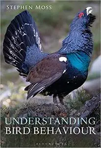 Understanding Bird Behaviour (repost)