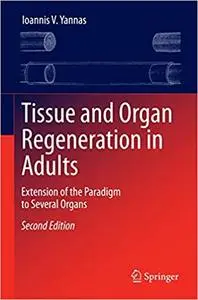 Tissue and Organ Regeneration in Adults: Extension of the Paradigm to Several Organs