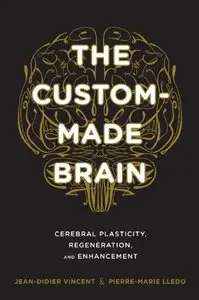 The Custom-Made Brain: Cerebral Plasticity, Regeneration, and Enhancement