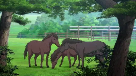 Ooi! Tonbo 2nd Season - 01   Tonbo! Season 2   S2