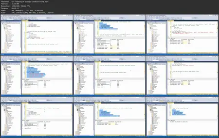 SQL Server Fundamentals: Master Basic Query Techniques