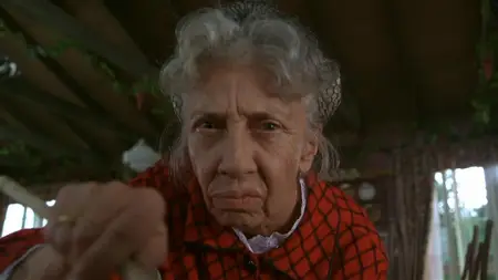Grumpier Old Men (1995)