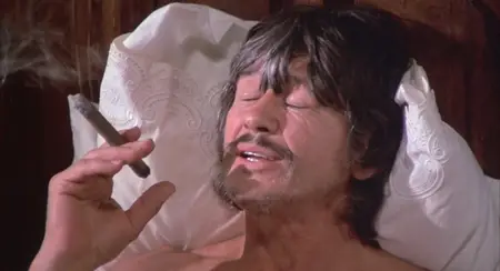 From Noon Till Three (1976) [MultiSubs]