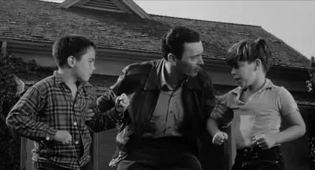 The Miami Story (1954)