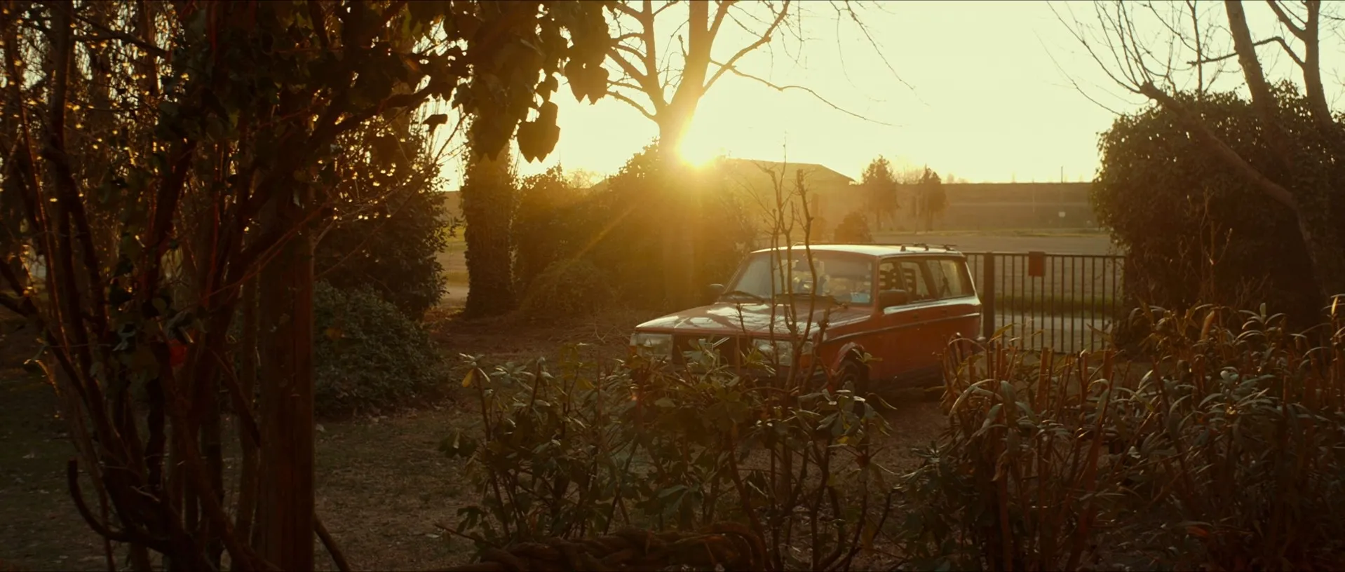 My Brother Chases Dinosaurs / Mio fratello rincorre i dinosauri (2019)
