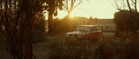 My Brother Chases Dinosaurs / Mio fratello rincorre i dinosauri (2019)