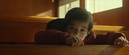 My Brother Chases Dinosaurs / Mio fratello rincorre i dinosauri (2019)
