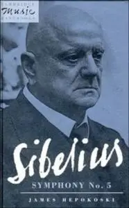 Sibelius: Symphony No. 5 (Cambridge Music Handbooks)