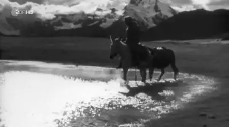 ZDF History - Herrenmenschen im Regenwald