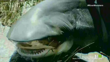 River Monsters: Killer Discoveries (2016)