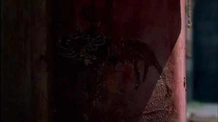 Rome S01E07