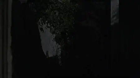 Poldark S04E05
