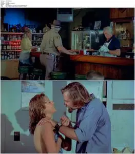 The Giant Spider Invasion (1975)