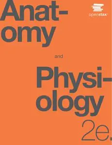 Anatomy and Physiology, 2nd Edition