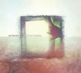 Joel Harrison - Infinite Possibility (2013)