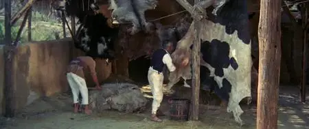 Lo chiamavano Trinità... (1970)