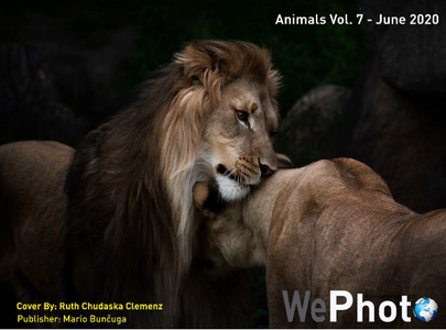 WePhoto Animals - June 2020