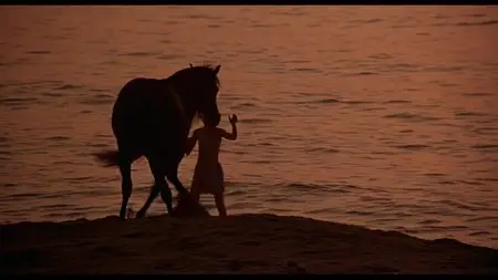 The Black Stallion (1979)