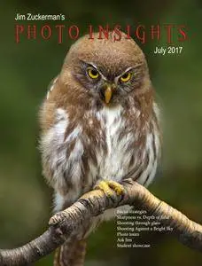 Photo insights - July 2017