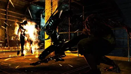 Dark Sector 