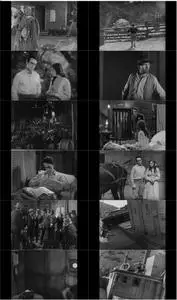 The Kid Brother (1927) + Extras [The Criterion Collection]