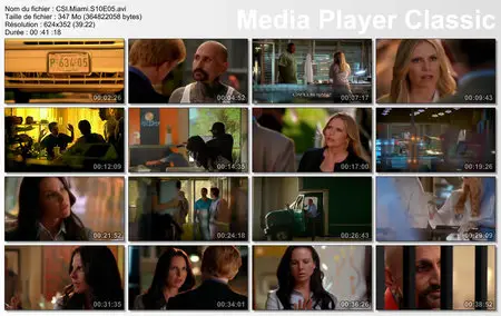 Les Experts Miami / CSI Miami S10 E01-09