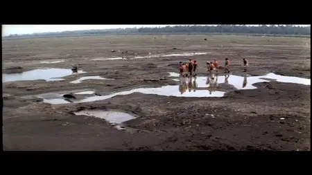 Pirveli mertskhali / First swallow / Первая ласточка (1975)