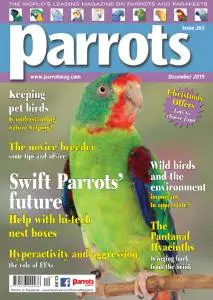 Parrots - December 2019