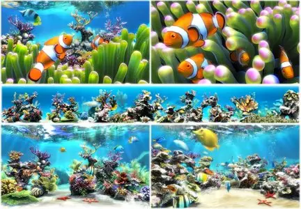 Sim Aquarium 3.7 Build 57 Premium Portable