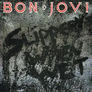 Bon Jovi - The Albums (2017) [Vinyl Rip 16/44 & mp3-320, Limited Edition Box set] Re-up