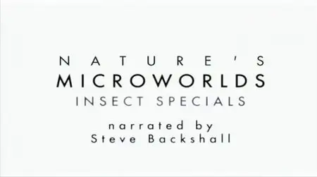 BBC - Insect Worlds (2013)