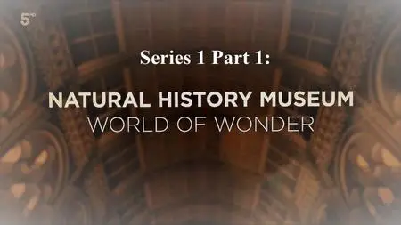 CH.5 - Natural History Museum World of Wonder: Series 1 Part 1 (2020)