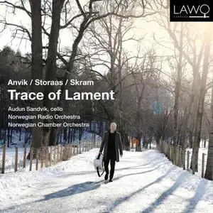 Audun Sandvik - Trace of Lament (2022) [Official Digital Download 24/192]