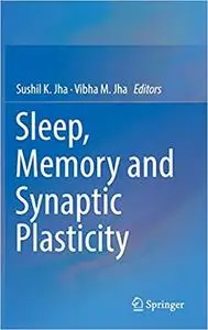 Sleep, Memory and Synaptic Plasticity