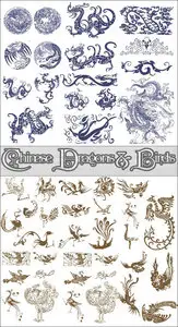 Chinese Dragons & Birds