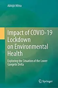 Impact of COVID-19 Lockdown on Environmental Health