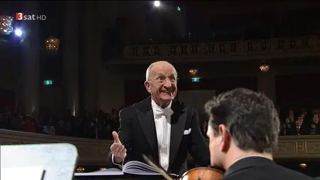 Christmas in Vienna 2013 [HDTV 720p]