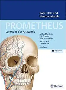 PROMETHEUS Kopf, Hals und Neuroanatomie: LernAtlas Anatomie, 5. Auflage